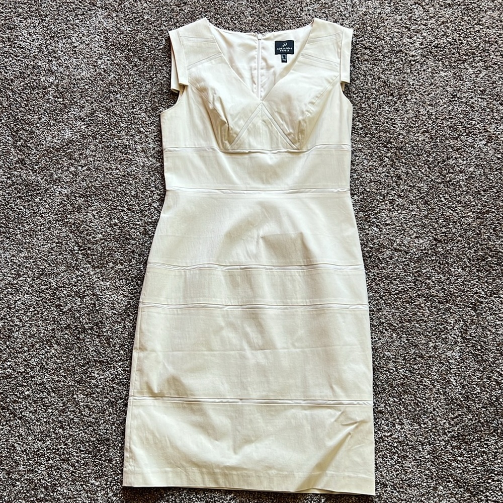 Adrianna Papell fitted sleeveless dress
